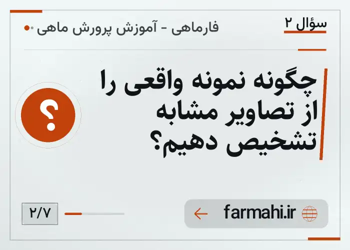 چگونه نمونه واقعی را از تصاویر مشابه تشخیص دهیم؟