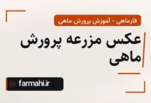 عکس مزرعه پرورش ماهی