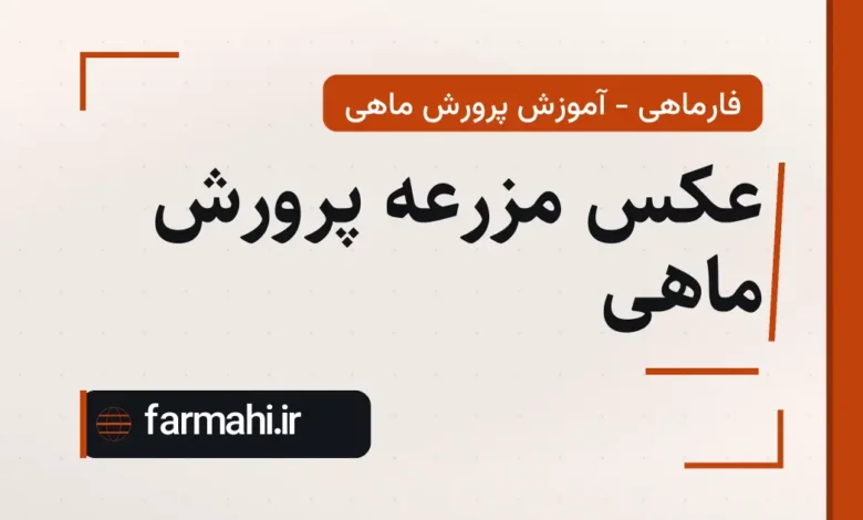 عکس مزرعه پرورش ماهی