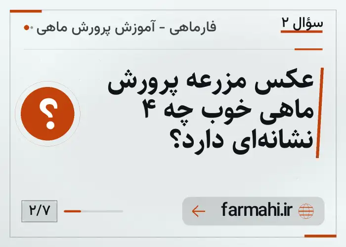 عکس مزرعه پرورش ماهی خوب چه ۴ نشانه‌ای دارد؟