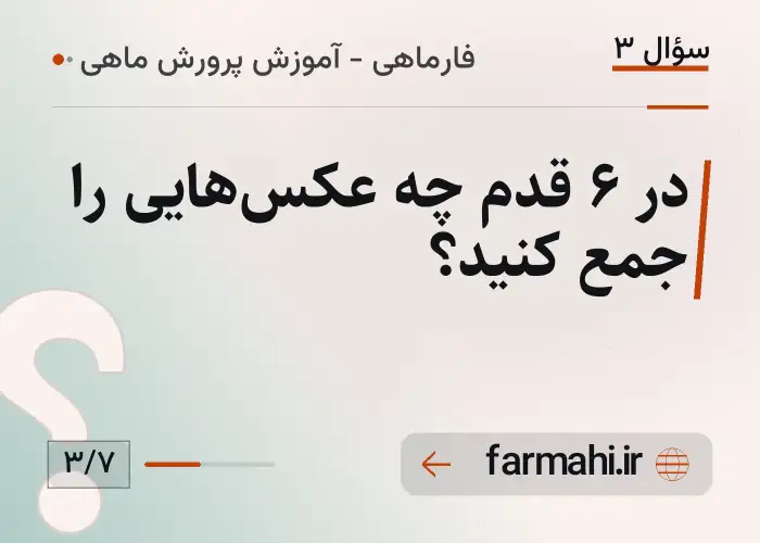 در ۶ قدم چه عکس‌هایی را جمع کنید؟