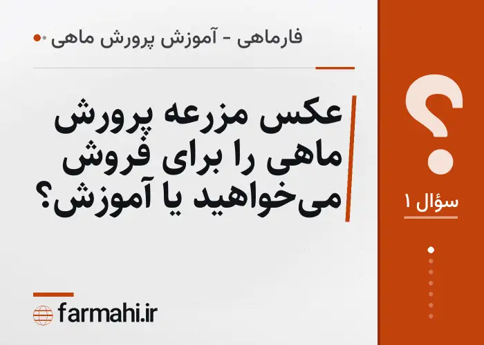 عکس مزرعه پرورش ماهی را برای فروش می‌خواهید یا آموزش؟