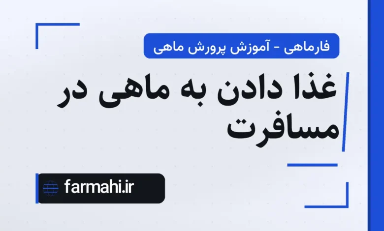 غذا دادن به ماهی در مسافرت