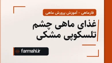 غذای ماهی چشم تلسکوپی مشکی
