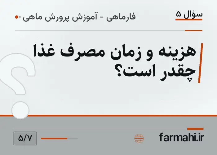 هزینه و زمان مصرف غذا چقدر است؟