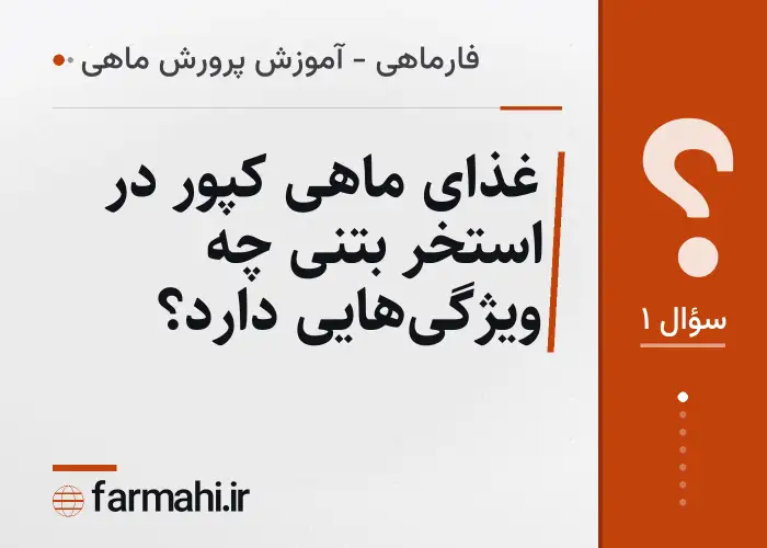 غذای ماهی کپور در استخر بتنی چه ویژگی‌هایی دارد؟