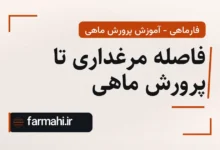 فاصله مرغداری تا پرورش ماهی