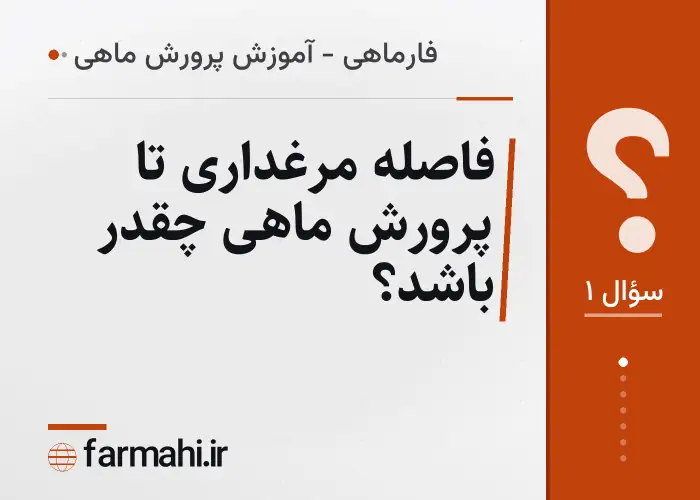 فاصله مرغداری تا پرورش ماهی چقدر باشد؟