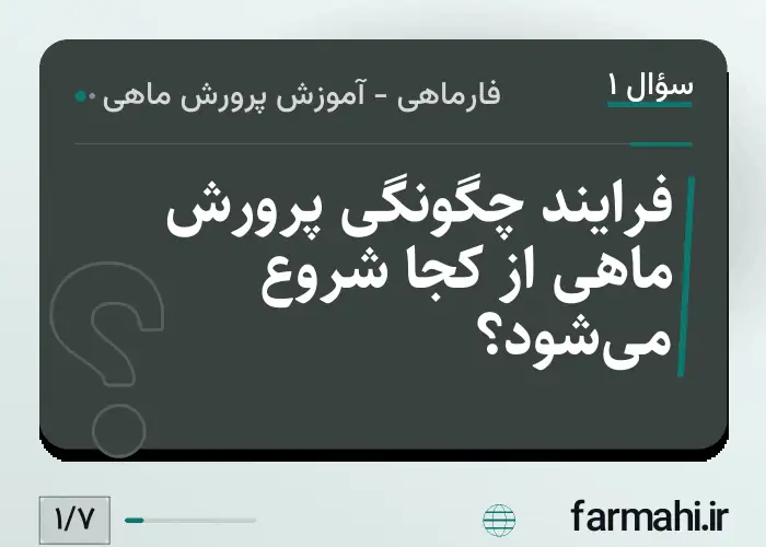 فرایند چگونگی پرورش ماهی از کجا شروع می‌شود؟