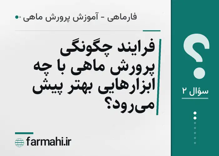 فرایند چگونگی پرورش ماهی با چه ابزارهایی بهتر پیش می‌رود؟