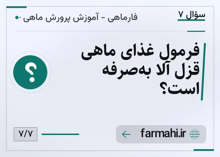 فرمول غذای ماهی قزل آلا به‌صرفه است؟