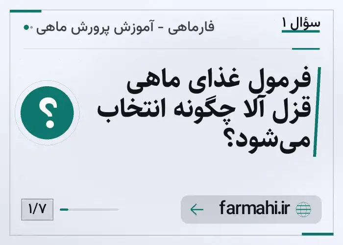 فرمول غذای ماهی قزل آلا چگونه انتخاب می‌شود؟