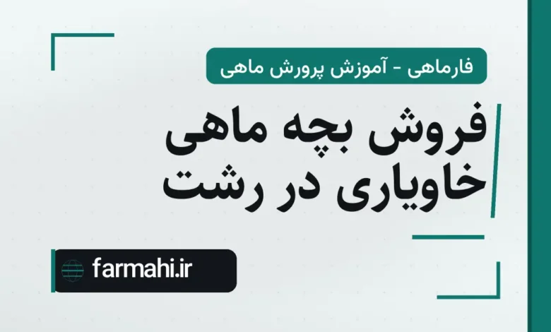 فروش بچه ماهی خاویاری در رشت