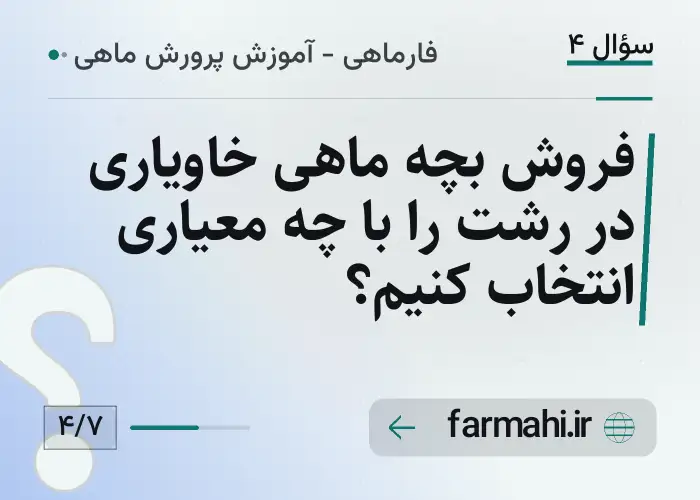فروش بچه ماهی خاویاری در رشت را با چه معیاری انتخاب کنیم؟