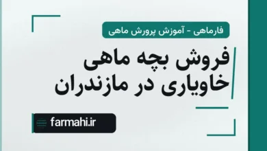 فروش بچه ماهی خاویاری در مازندران