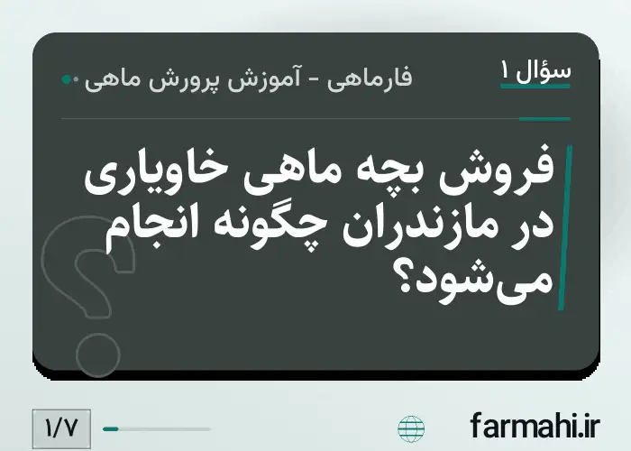 فروش بچه ماهی خاویاری در مازندران چگونه انجام می‌شود؟