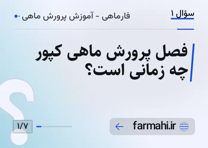 فصل پرورش ماهی کپور چه زمانی است؟