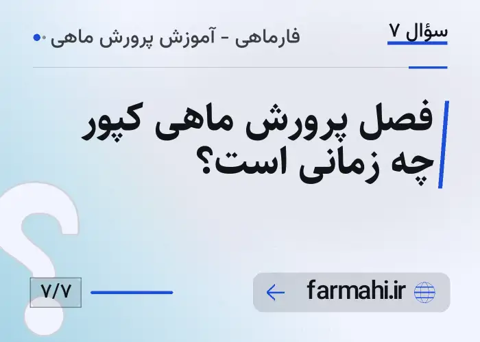 فصل پرورش ماهی کپور چه زمانی است؟