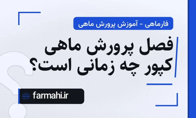 فصل پرورش ماهی کپور چه زمانی است؟