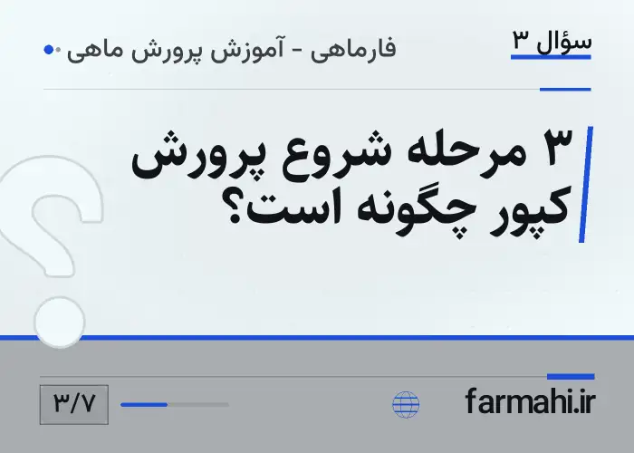 ۳ مرحله شروع پرورش کپور چگونه است؟