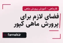 فضای لازم برای پرورش ماهی کپور