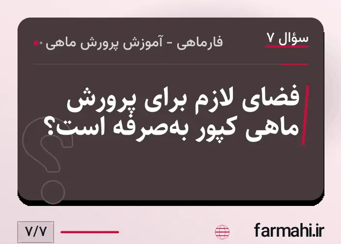 فضای لازم برای پرورش ماهی کپور به‌صرفه است؟