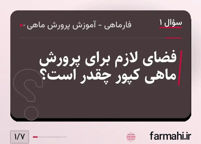 فضای لازم برای پرورش ماهی کپور چقدر است؟