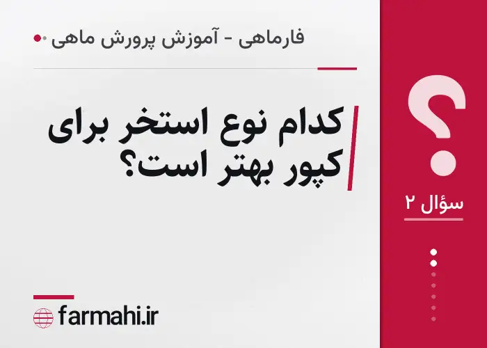 کدام نوع استخر برای کپور بهتر است؟