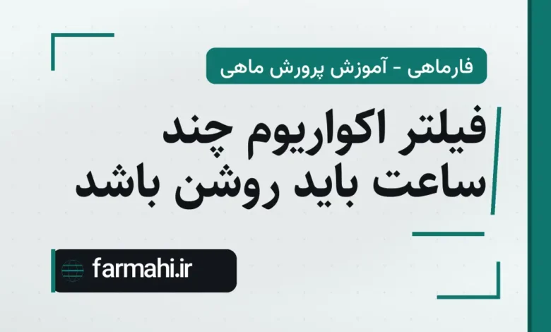 فیلتر اکواریوم چند ساعت باید روشن باشد