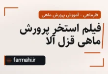 فیلم استخر پرورش ماهی قزل آلا