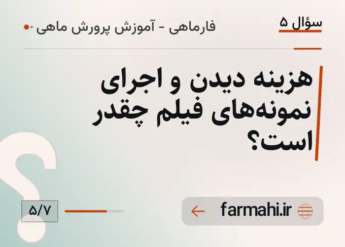 هزینه دیدن و اجرای نمونه‌های فیلم چقدر است؟