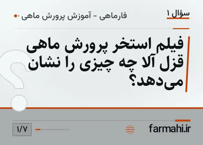فیلم استخر پرورش ماهی قزل آلا چه چیزی را نشان می‌دهد؟