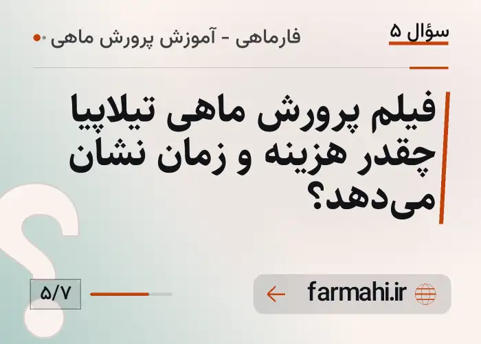فیلم پرورش ماهی تیلاپیا چقدر هزینه و زمان نشان می‌دهد؟