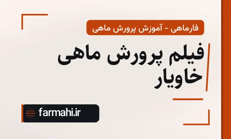فیلم پرورش ماهی خاویار