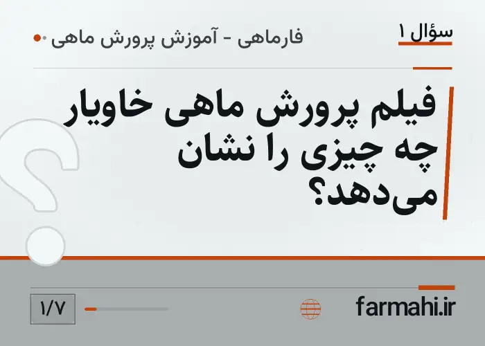 فیلم پرورش ماهی خاویار چه چیزی را نشان می‌دهد؟