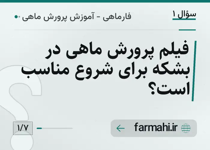فیلم پرورش ماهی در بشکه برای شروع مناسب است؟