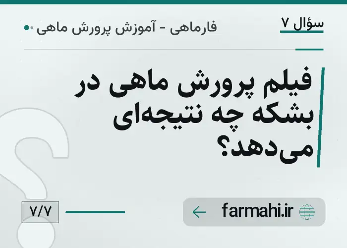 فیلم پرورش ماهی در بشکه چه نتیجه‌ای می‌دهد؟