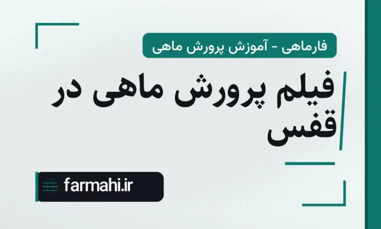 فیلم پرورش ماهی در قفس