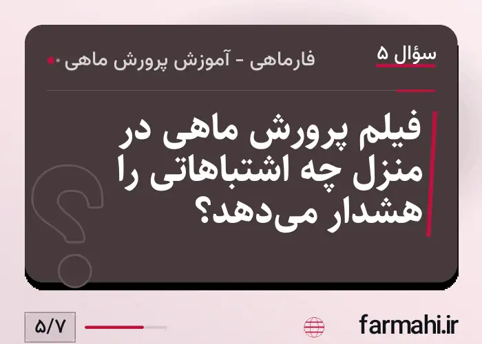 فیلم پرورش ماهی در منزل چه اشتباهاتی را هشدار می‌دهد؟
