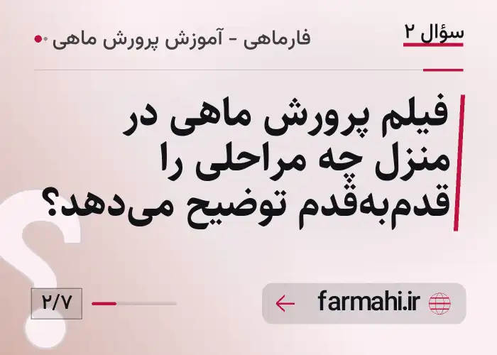 فیلم پرورش ماهی در منزل چه مراحلی را قدم‌به‌قدم توضیح می‌دهد؟