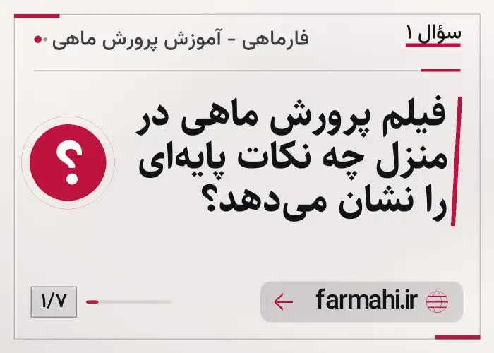 فیلم پرورش ماهی در منزل چه نکات پایه‌ای را نشان می‌دهد؟