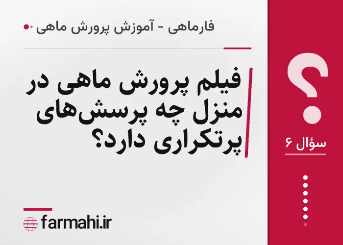 فیلم پرورش ماهی در منزل چه پرسش‌های پرتکراری دارد؟