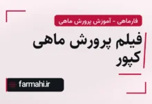 فیلم پرورش ماهی کپور