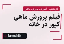 فیلم پرورش ماهی کپور در خانه