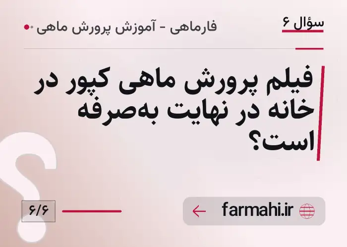 فیلم پرورش ماهی کپور در خانه در نهایت به‌صرفه است؟