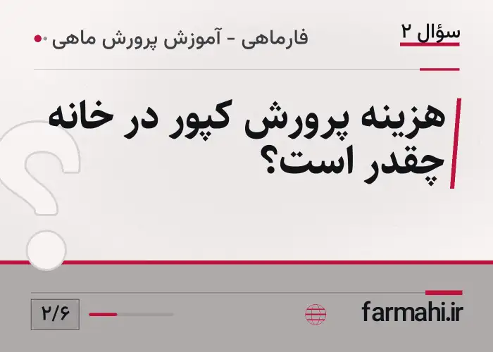 هزینه پرورش کپور در خانه چقدر است؟