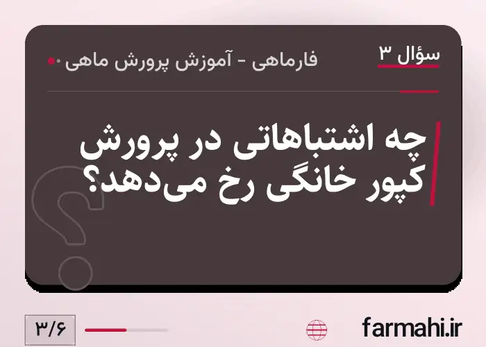 چه اشتباهاتی در پرورش کپور خانگی رخ میدهد؟