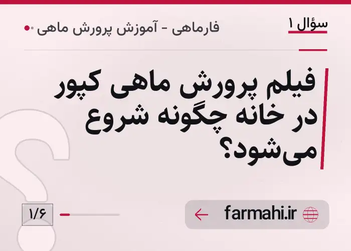فیلم پرورش ماهی کپور در خانه چگونه شروع می‌شود؟