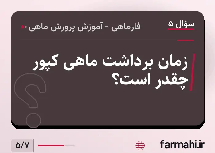 زمان برداشت ماهی کپور چقدر است؟