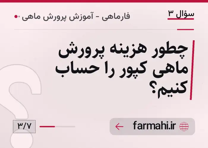 چطور هزینه پرورش ماهی کپور را حساب کنیم؟